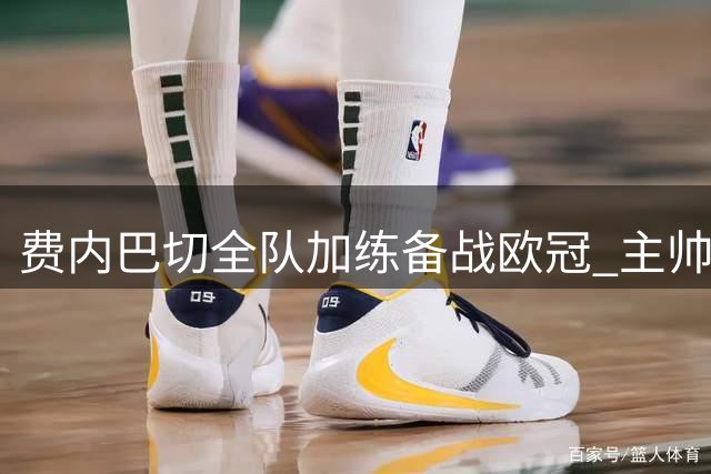 费内巴切全队加练备战欧冠 主帅亲授战术要点